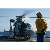 Un chien jaune guide le décollage d'un hélicoptère Panther AS-565 de la flottille 36F pour une mission en mer des Caraïbes.