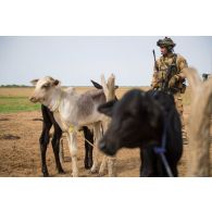 Un soldat du 7e bataillon de chasseurs alpins (BCA) sécurise le périmètre lors de la fouille d'un village du secteur de N'Daki, au Mali.