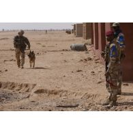 Un maître-chien du 6e régiment du génie (6e RG) et son chien Kapa fouillent une habitation devant des gendarmes maliens dans la vallée d'Inaïs, au Mali.