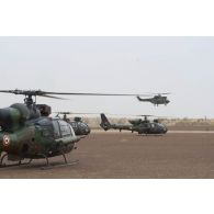 Des hélicoptères Gazelle HOT SA-342 et un Puma SA-330 du 5e régiment d'hélicoptères de combat (5e RHC) se posent sur l'aéroport de Goundam, au Mali.