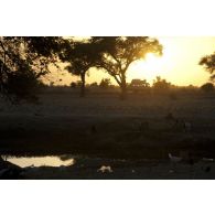Un taxi brousse évolue au coucher du soleil sur la route reliant Markala Niono, au Mali.