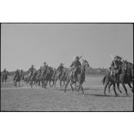 Un peloton à cheval du 7e régiment de chasseurs à cheval (RCC) effectue un exercice de galop en colonnes par deux.