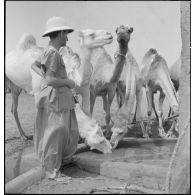 Une unité coloniale d'Agadès ou Agadez, accompagnée d'un groupe nomade, s'installe près d'un nouveau patûrage ; les dromadaires se désaltèrent à l'abreuvoir.