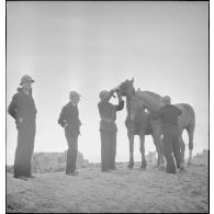 Marins français et chevaux sur une plage à Dunkerque.
