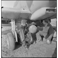 Mise en place d'une bombe sur un avion par des armuriers britanniques.