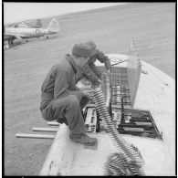 Réapprovisionnement en munitions d'un P-47.