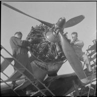 Des mécaniciens du groupe de chasse II/18 Saintonge assurent la maintenance du moteur en étoile d'un Douglas A24 (Wright R-1820 Cyclone 9).