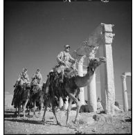 Un peloton de méharistes de la 1re CLD (compagnie légère du désert) se déplace dans les ruines de Palmyre.