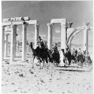 Un peloton de méharistes de la 1re CLD (compagnie légère du désert) se déplace dans les ruines de Palmyre.