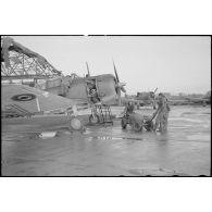 Chargement d'une bombe sur un bombardier en piqué Douglas SBD-5 Dauntless de l'aéronautique navale sur la base de Cognac.