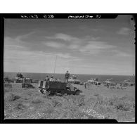 Exercice de tir de l'école de cavalerie sur la côte d'Hussein-Dey sur des chars Sherman M4 et Half-track M3.