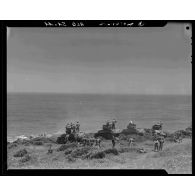 Exercice de tir de l'école de cavalerie sur la côte d'Hussein-Dey sur des chars Sherman M4 et M24 Chaffee.