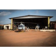 Reconditionnement des pales du rotor principal d'hélicoptères Fennec AS-555 AN du DETFENNEC (détachement Fennec), dans le cadre de leur désengagement depuis le camp M'Poko de Bangui.