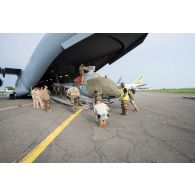Chargement d'un hélicoptère de reconnaissance Fennec AS-555 AN du DETFENNEC (détachement Fennec) dans la soute d'un avion cargo C-17 de l'US Air Force, dans le cadre de son désengagement depuis le camp M'Poko de Bangui.