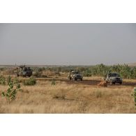 Un véhicule de l'avant blindé (VAB) du 35e régiment d'infanterie (RI) progresse aux côtés des pick-ups de l'armée malienne sur la piste d'Ansongo, au Mali.
