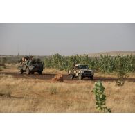 Un véhicule de l'avant blindé (VAB) du 35e régiment d'infanterie (RI) progresse aux côtés des pick-ups de l'armée malienne sur la piste d'Ansongo, au Mali.