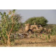 Un véhicule blindé hautement protégé (VBHP) du 35e régiment d'infanterie (RI) progresse sur la piste d'Ansongo, au Mali.