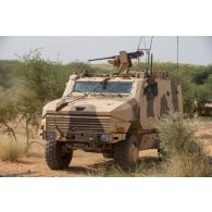 Un véhicule blindé hautement protégé (VBHP) Aravis progresse sur la piste d'Ansongo, au Mali.