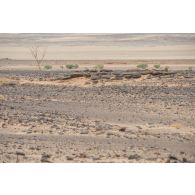 Paysage désertique sur l'axe Berliet, au Niger.