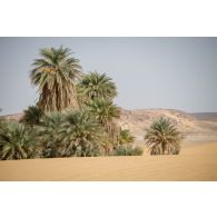 Dunes de sable sur l'axe Berliet, au Niger.