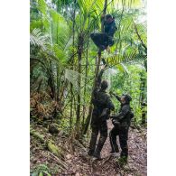Des soldats du 7e bataillon de chasseurs alpins (BCA) ramassent du bois à Maripasoula, en Guyane française.