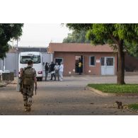 L'aide de camp de la ministre des Armées se dirige vers un bus en compagnie d'un chat à Niamey, au Niger.