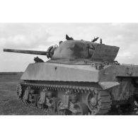 Char Sherman M4A1 appartenant à la company F, 2nd Battalion, 1st Armored regiment (a 1st US AD).