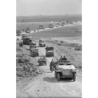 Une longue colonne de véhicules américains de prise mélangés à des matériels allemands de la 10-Panzer Division.