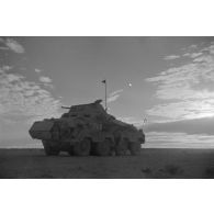 Un blindé SdKfz-231 roule dans le désert au crépuscule.