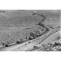 La 5-Leicht Division pendant l'offensive d'avril 1941 sur la route de Derna, via Balbia.