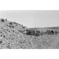 Un poste de commandement et de transmissions installé à revers de colline à Halfaya.