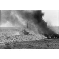 Des chars Panzer III (Pz-III) du Panzer.Regiment 8 (Pz.Rgt-8) progressent dans le désert au milieu de véhicules en flamme.
