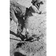 Des soldats creusent des trous pour y déposer des mines antipersonnel.