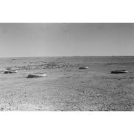 Vue du désert et de quatre bacs souples, au loin passent des véhicules.