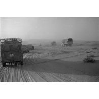 Des véhicules allemands roulent dans le désert, camions divers dont certains d'origine britannique, voitures légères.
