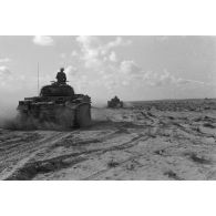Une colonne de chars Panzer III (Pz-III) progresse.