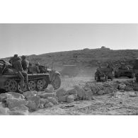 Une colonne de véhicules qui progresse vers la passe d'Halfaya.