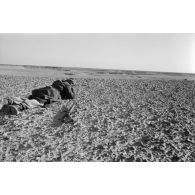 Un soldats allongé sur le sol observe le terrain.