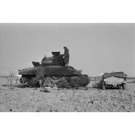 Des soldats s'affairent autour de la carcasse d'un char américain Sherman M4A1 détruit, sur le canon on note le prénom Joyce.