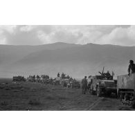 Colonne de véhicules américains capturés et utilisés par la 10e division blindée allemande, half-tracks (APC M2), jeep.<br>