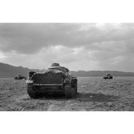 Des chars du Panzer Regiment 8 (Pz.Rgt-8), Pz-III et Pz-IV, déployés dans la plaine.