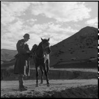Soldat avec son cheval lors d'un exercice du 31e Groupe Vétérinaire (GV) sur les bords de l'Oued Chelif près de Mostaganem.
