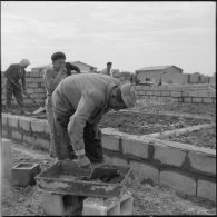 Construction des murs d'une habitation du village de Mondovi (Dréan) par des ouvriers algériens.