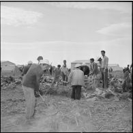 Travaux de terrassement au village de Mondovi (Dréan) pour la construction d'habitations par des ouvriers algériens.