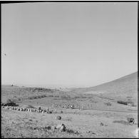 Remise de l'étendard au 2/24e régiment d'artillerie (RA) dans la région de Tlemcen.
