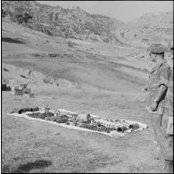 Le colonel Meyer, commandant le 1er régiment de chasseurs parachutistes (RCP), devant l'arsenal pris aux rebelles, dans le paysage du Djebel.