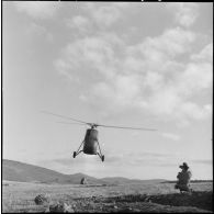 Opération à l'est de Tlemcen : hélicoptères Sikorsky S-58.