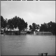 Inondations dans la Mitidja.