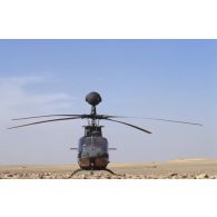 Hélicoptère américain de reconnaissance et d'observation Bell OH-58 D Kiowa dans le désert en ZDO (zone de déploiement opérationnel) Olive.