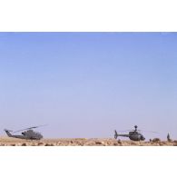 Hélicoptères américains de reconnaissance et d'observation Bell OH-58 D Kiowa et de combat Bell-209 Huey Cobra dans le désert en ZDO (zone de déploiement opérationnel) Olive.